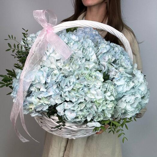 Basket with hydrangeas