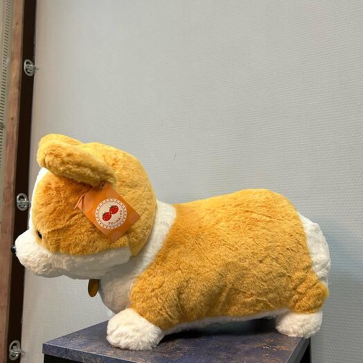 Корги верный друг