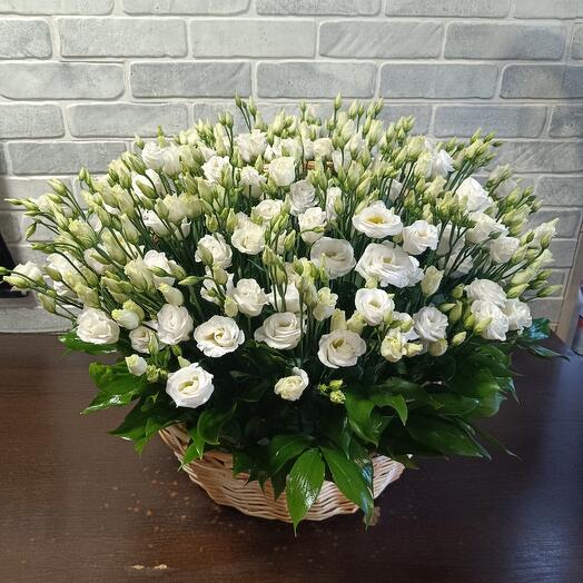 Eustoma in the basket