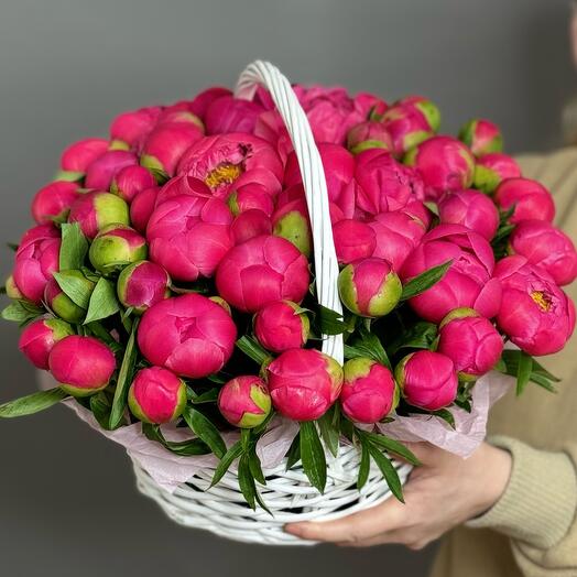 51 коралловый пион в корзине