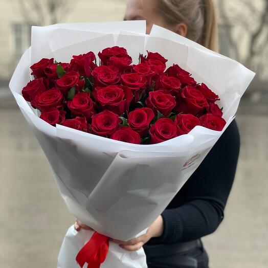 Mono-ramo de 25 rosas Rojas