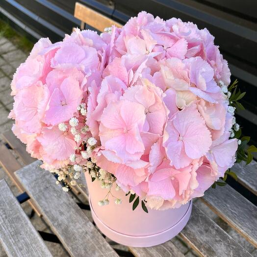 Hydrangea box
