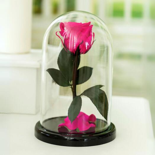 Роза в колбе «Premium» фуксия