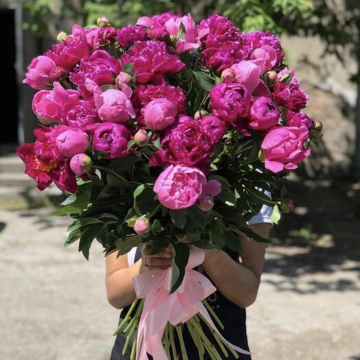 Peonies 55 pcs