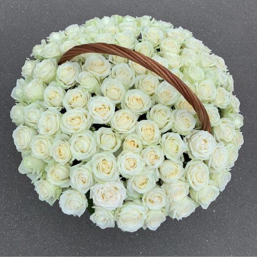 101 white Rose in basket