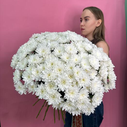 Белые хризантемы