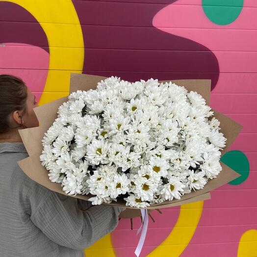 Chrysanthemums