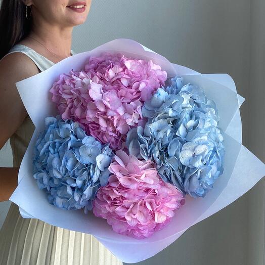 Pink and blue hydrangeas