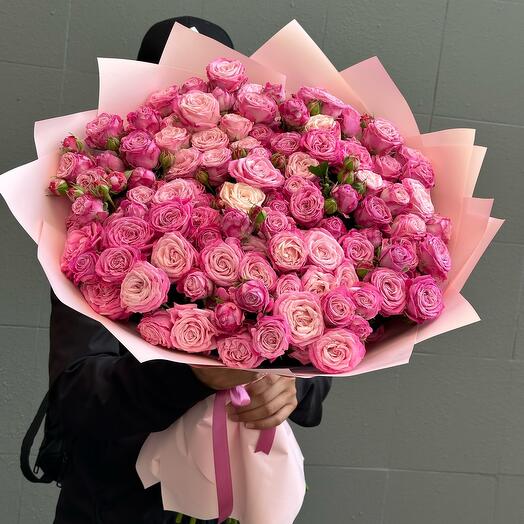 Bush Rose lady bombastic