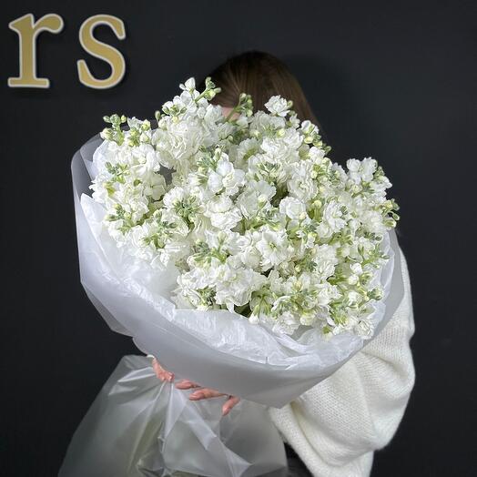 Mattiola fragrant white
