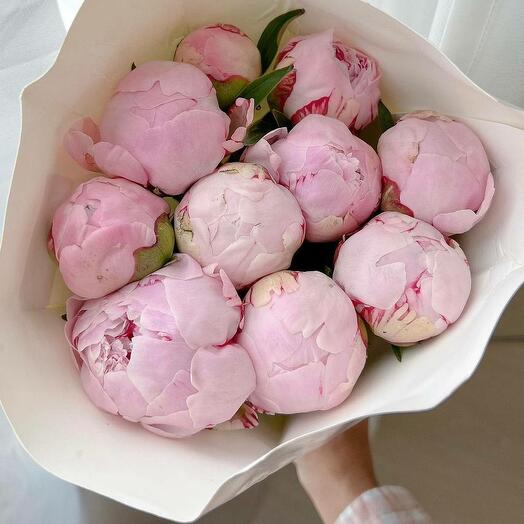 Bouquet of pink peonies