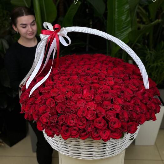 351 Голландская роза в корзине