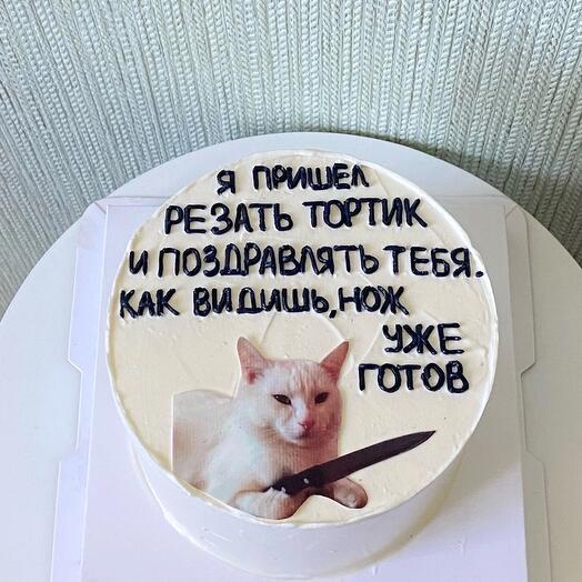 Популярный бенто торт на день рождения с котиком и ножиком