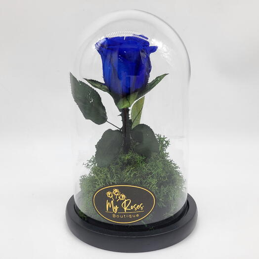 Single Blue Forever Rose Small