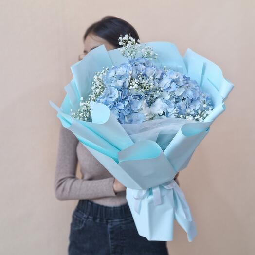 Гортензия с гипсофилой