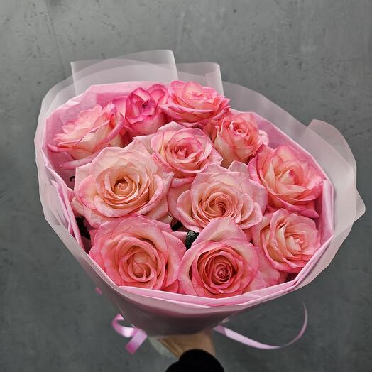 Rosas Jumilla 11