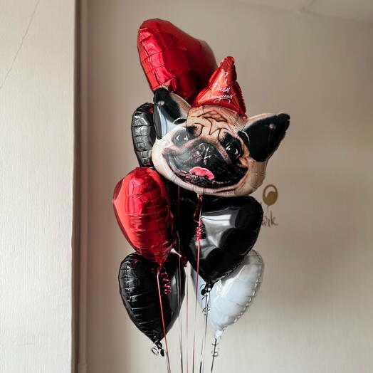 Набор «Мопс XXL»