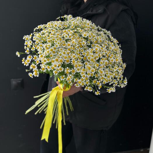 Букет ромашек 🌸