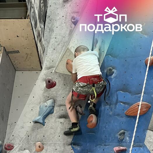 Подарочный сертификат Скалодром. Вводное занятие в школе скалолазанья для ребенка и взрослого