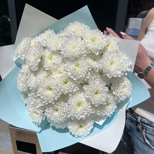 White Darling M