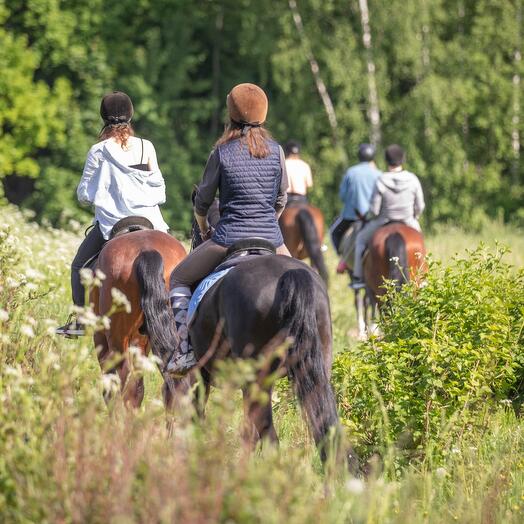 Подарочный сертификат на 5000 рублей  на услуги конного клуба