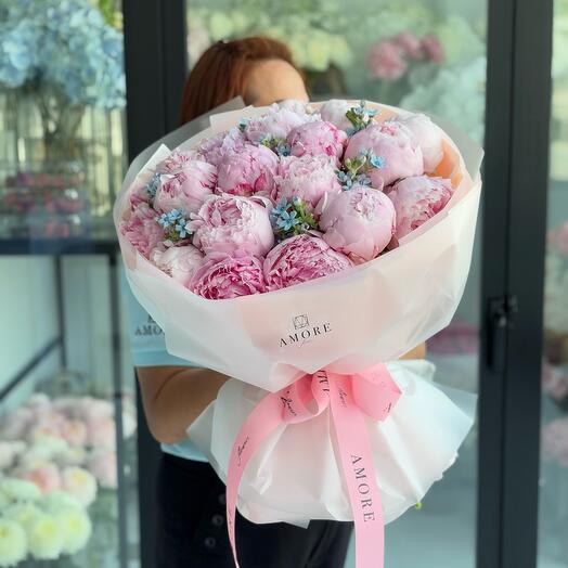 Blush Peony Dream