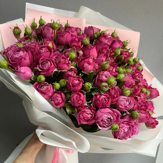 Роза кустовая 💞💞💞