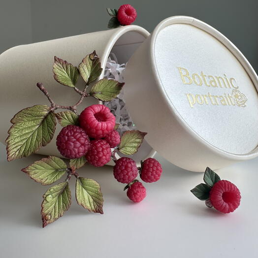 Raspberry Red brooch and earrings