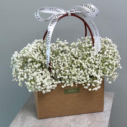 Воздушная гипсофила