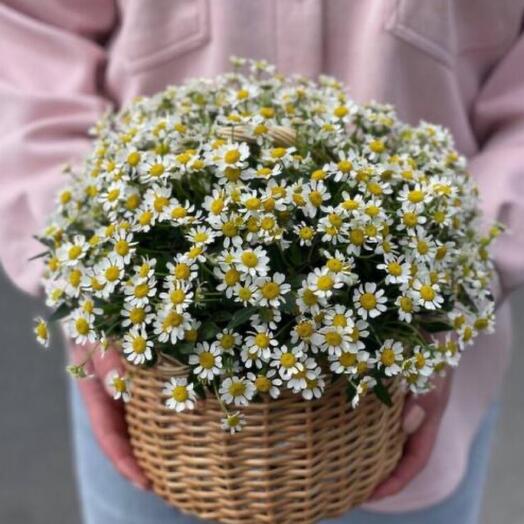 Корзина с ромашками ( камилла )