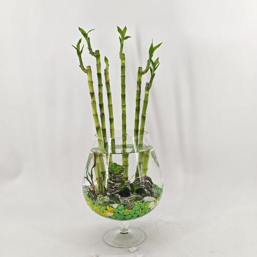 Бамбук лакки lucky в вазе рюмка
