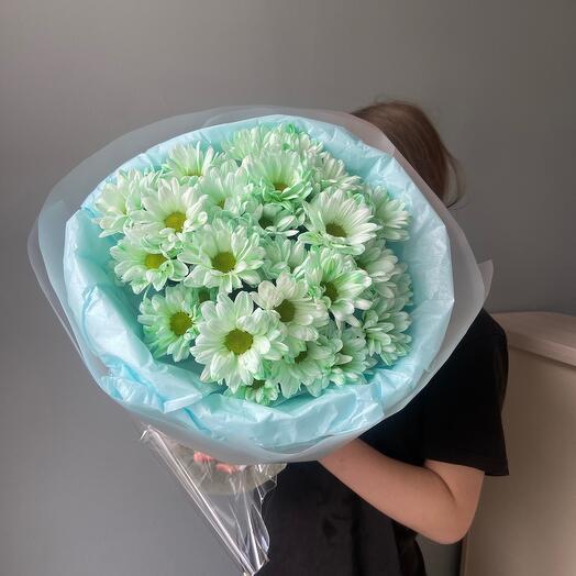 Зеленое поле ромашек 🌿