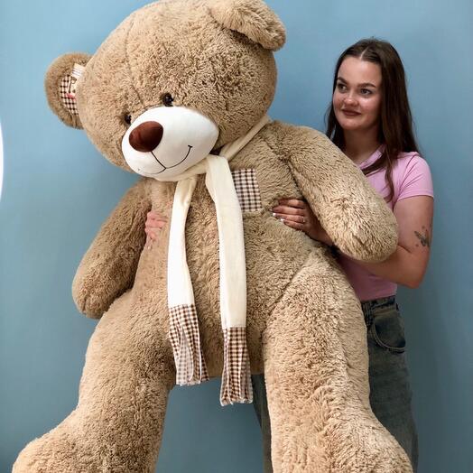 Giant Bear