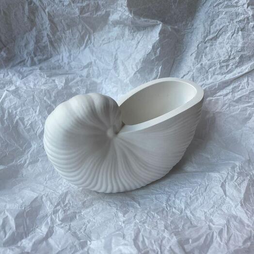 Ваза  сухоцветов ракушка