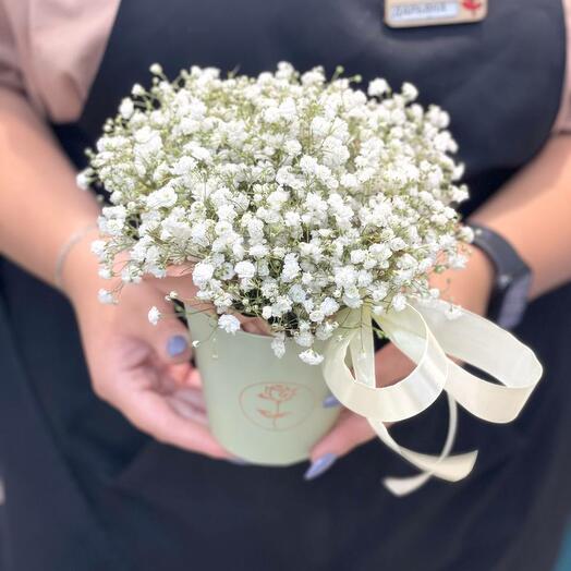 Коробка с белой гипсофилой