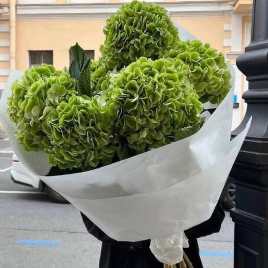 Роскошный букет из шикарных зеленых гортензий