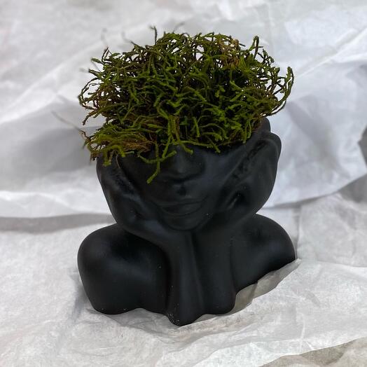 Гипсовая вазочка с мхом