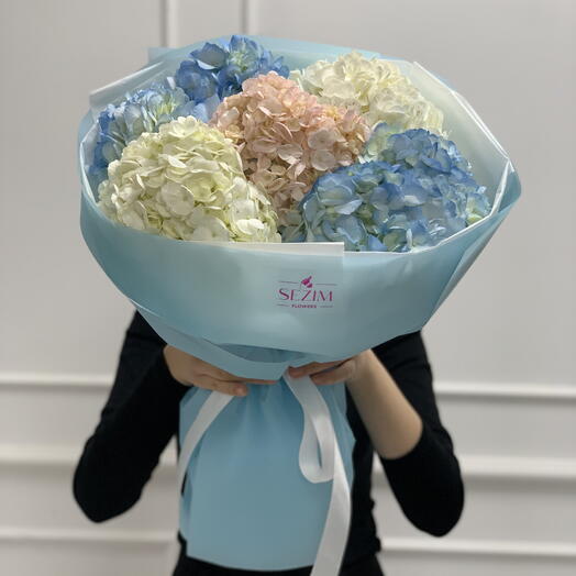 Гортензии 5 шт