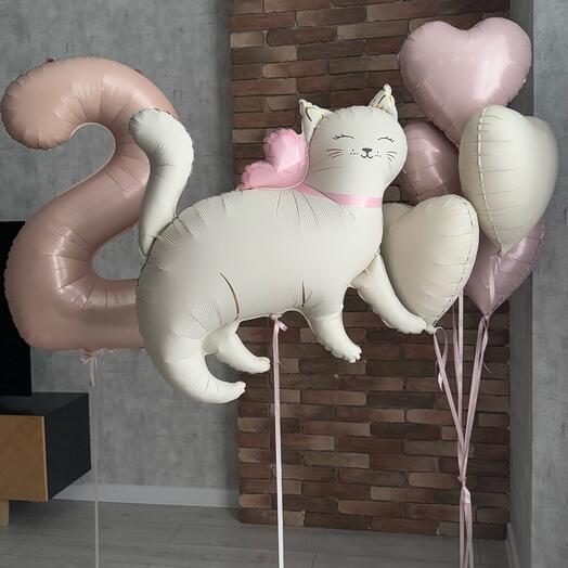 Нежная кошечка, 5 фольгированных сердец и розовая цифра 🎂 для выписки и первого дня рождения