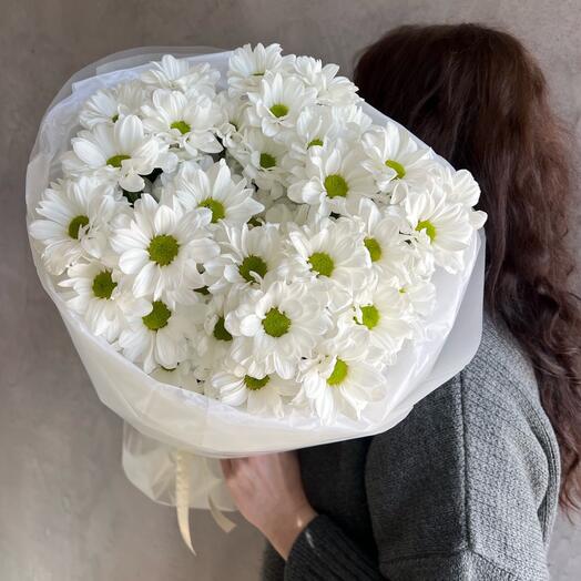 Белые ромашки