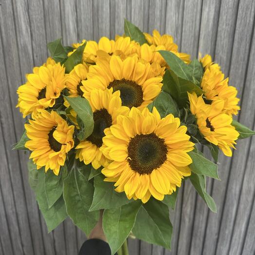 Подсолнух  15 ш🌻🌻