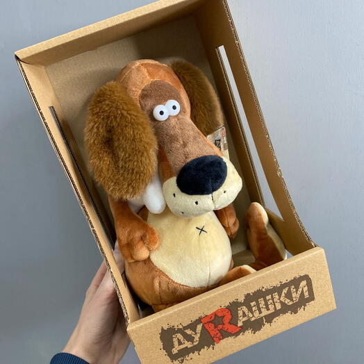 Пёс с косточкой серия ДУРАШКИ