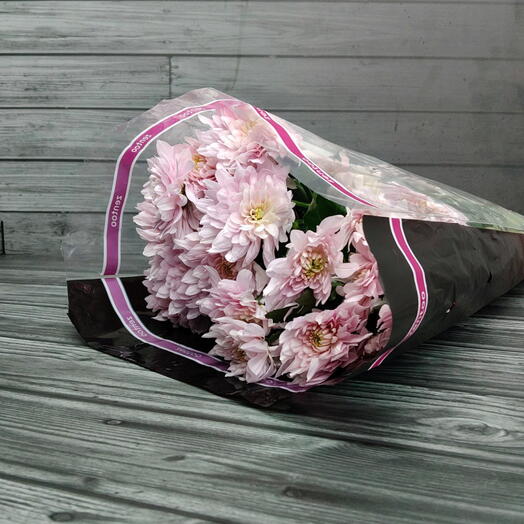 Пачка (5 шт.) Хризантема кустовая Пастелла Пинк 70 см Арт. Fc15527c