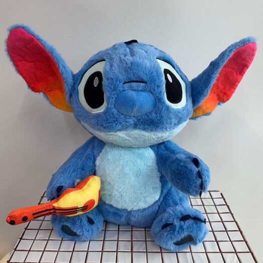 Стич с гитарой