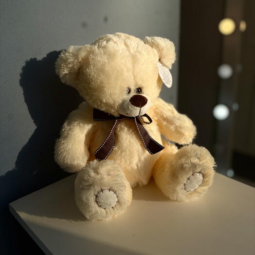 Плюшевый мишка 🧸 Small Lactic Bear 🐻