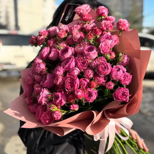 Pink Harmony- ვარდისფერი ჰარმონია