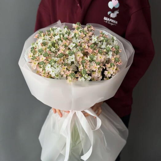 Букет из кустовой матиоллы