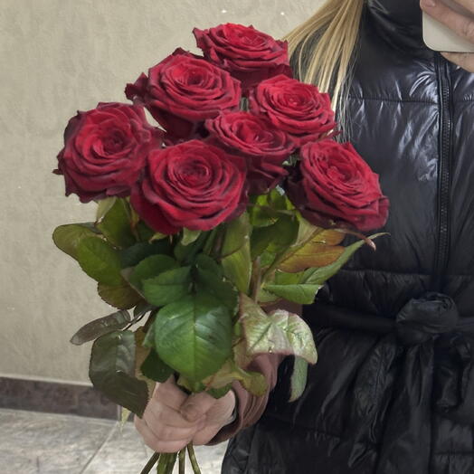Букет 7 роз Бордо