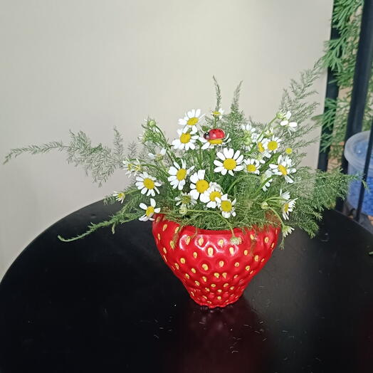 Клубника с ромашками