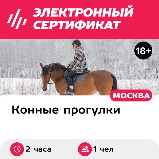 Подарочный сертификат Индивидуальный конный поход с привалом, 1 чел. (2 часа) (Москва)